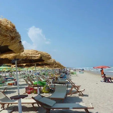 Claudia Int Q - Pineto