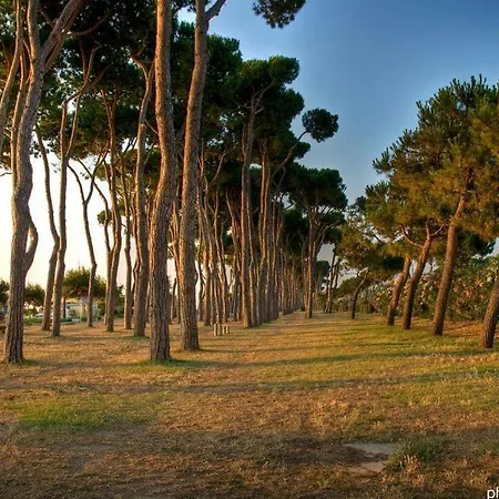 Claudia Int Q - Apartment Pineto