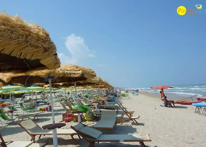 Claudia Int Q - ピネート