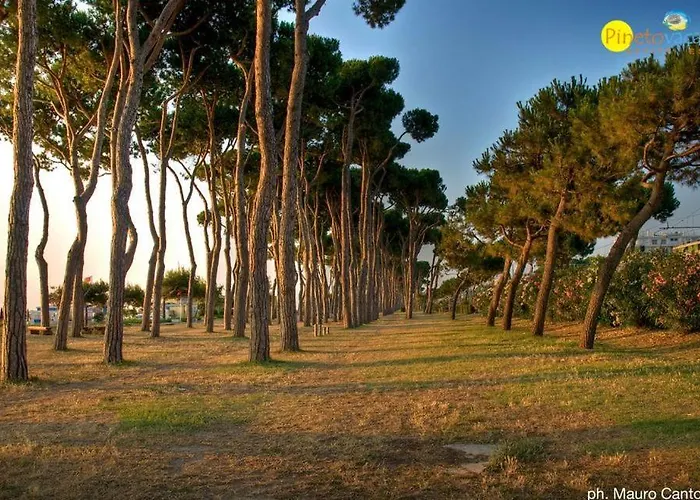 Claudia Int Q - アパート ピネート